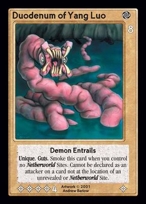 Duodenum of Yang Luo