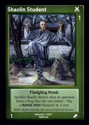 Shaolin Student