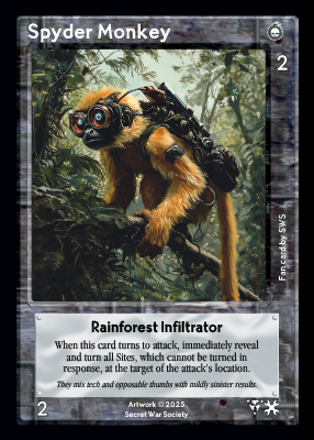 Spyder Monkey Spyder Monkey